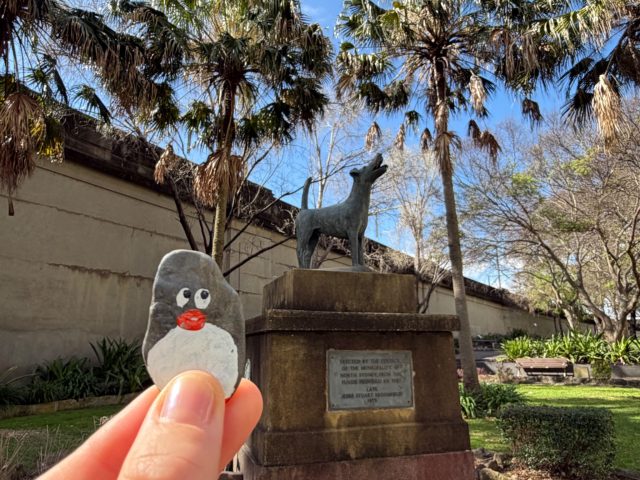 Hand-painted penguin stone #2346 hidden at Jessie Stuart Broomfield Monument, Sydney, Australia