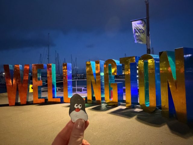 Hand-painted penguin stone #2347 hidden at Wellington Sign, Wellington, New Zealand