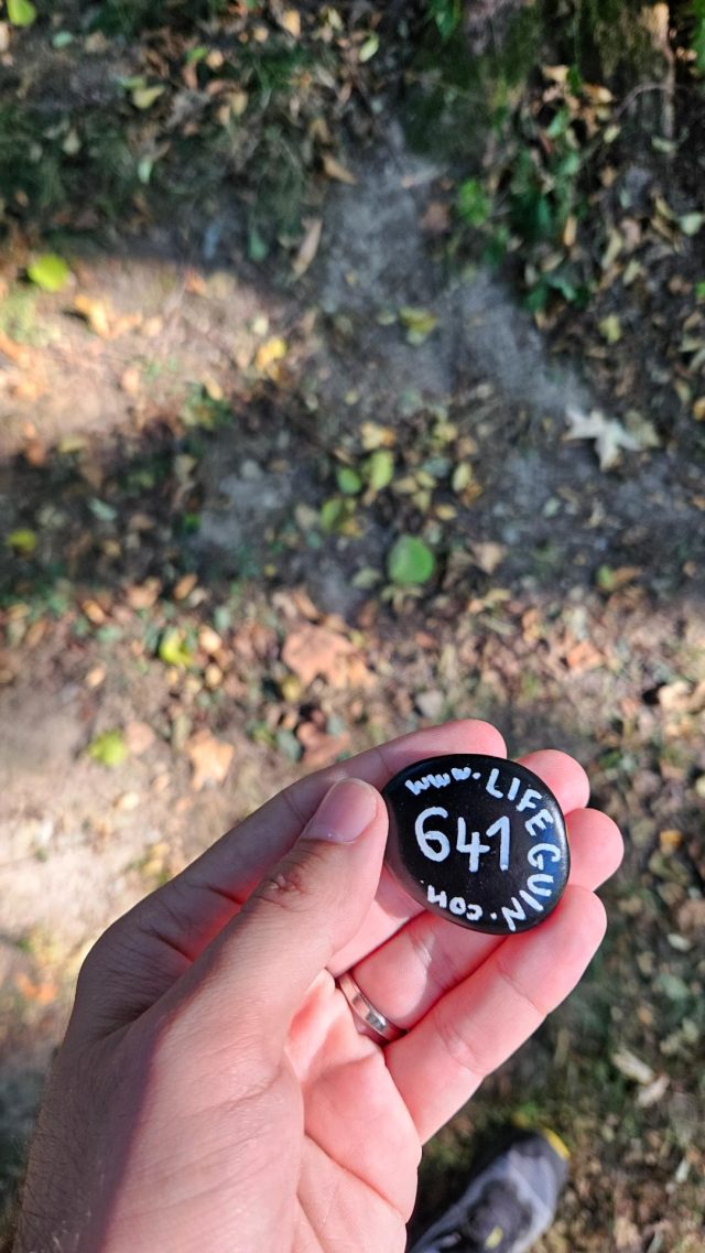 Hand-painted penguin stone #641 hidden at Peklo, Nove Mesto nad Metuji, Czechia (photo 3 of 5)