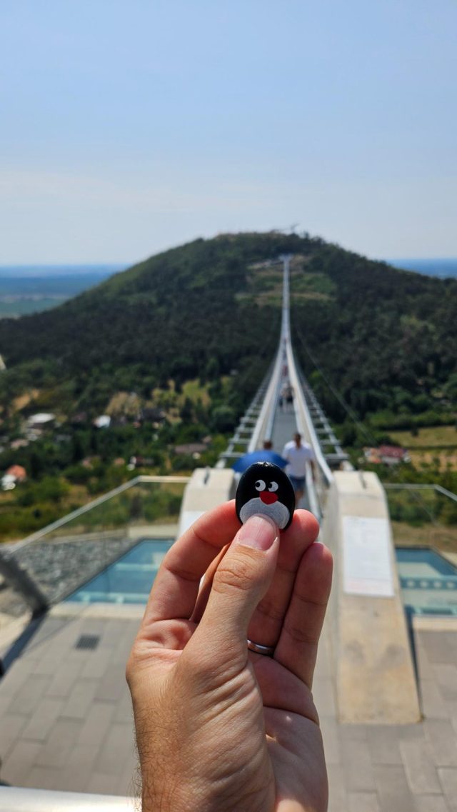 Hand-painted penguin stone #671 hidden at Bridge Nemzeti ossetartozas hidja, Satoraljaujhely, Hungary