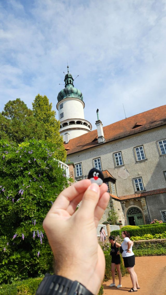 Ručne maľovaný tučniakový kameň č. 688 ukrytý na mieste Castle Garden, Nové Město nad Metují, Česko (fotka 2 z 5)