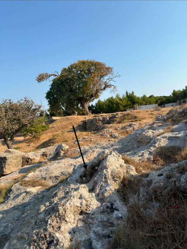 Ručne maľovaný tučniakový kameň č. 92 ukrytý na mieste Acropolis of Rhodes, Rhodes, Grécko (fotka 4 z 4)