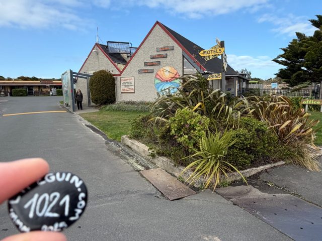 Hand-painted penguin stone #1021 hidden at Dunedin Holiday Park & Motels, Dunedin, New Zealand (photo 2 of 4)