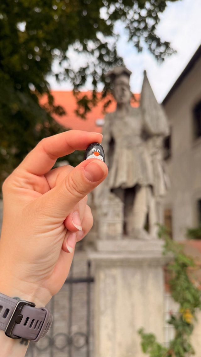 Hand-painted penguin stone #1085 hidden at The Holy Trinity Church, Bratislava, Slovakia (photo 2 of 5)