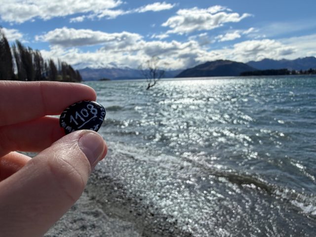 Hand-painted penguin stone #1108 hidden at Wanaka Willow Tree, Wanaka, New Zealand (photo 2 of 5)