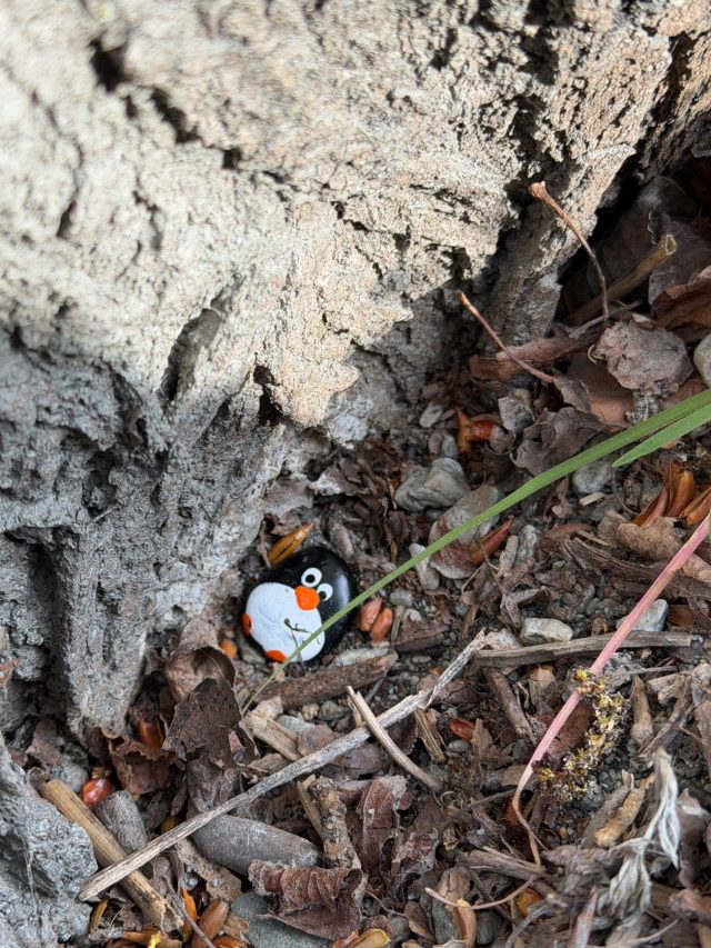 Hand-painted penguin stone #1108 hidden at Wanaka Willow Tree, Wanaka, New Zealand (photo 3 of 5)