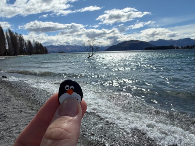 Ručne maľovaný tučniakový kameň č. 1108 ukrytý na mieste Wānaka Willow Tree, Wanaka, Nový Zéland