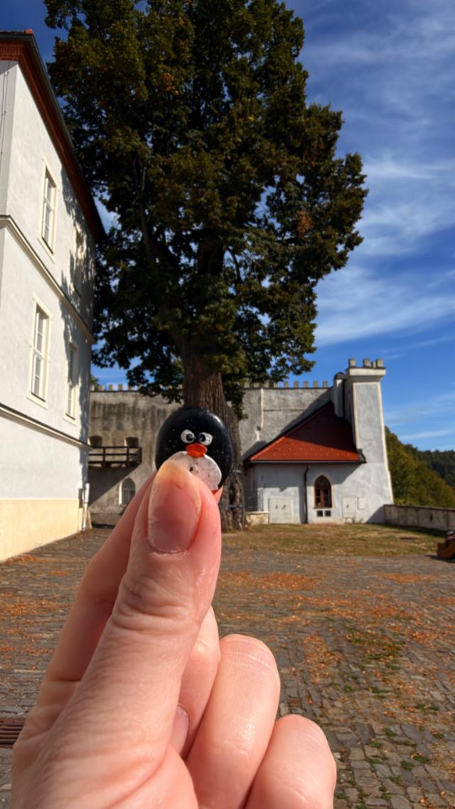Hand-painted penguin stone #1110 hidden at 700 Year Old Tree at Lupca Castle, Slovenska Lupca, Slovakia (photo 3 of 5)