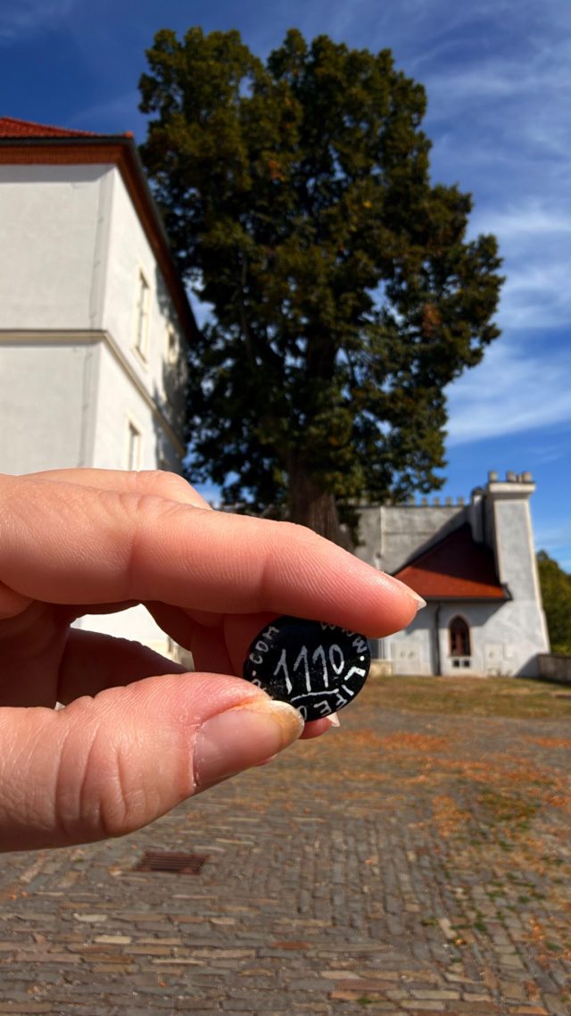 Hand-painted penguin stone #1110 hidden at 700 Year Old Tree at Lupca Castle, Slovenska Lupca, Slovakia (photo 4 of 5)
