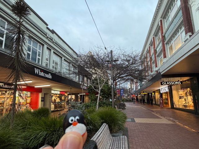 Hand-painted penguin stone #1115 hidden at Cuba Street, Wellington, New Zealand