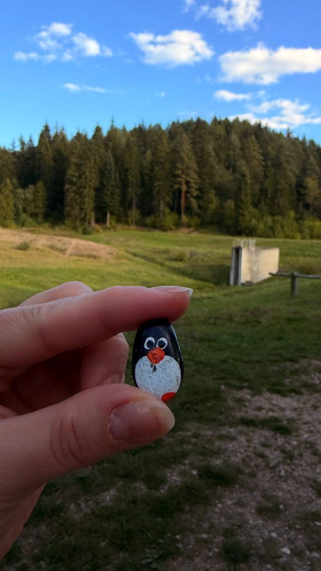 Ručne maľovaný tučniakový kameň č. 1121 ukrytý na mieste Bench, Chmeľnica, Slovensko (fotka 2 z 5)