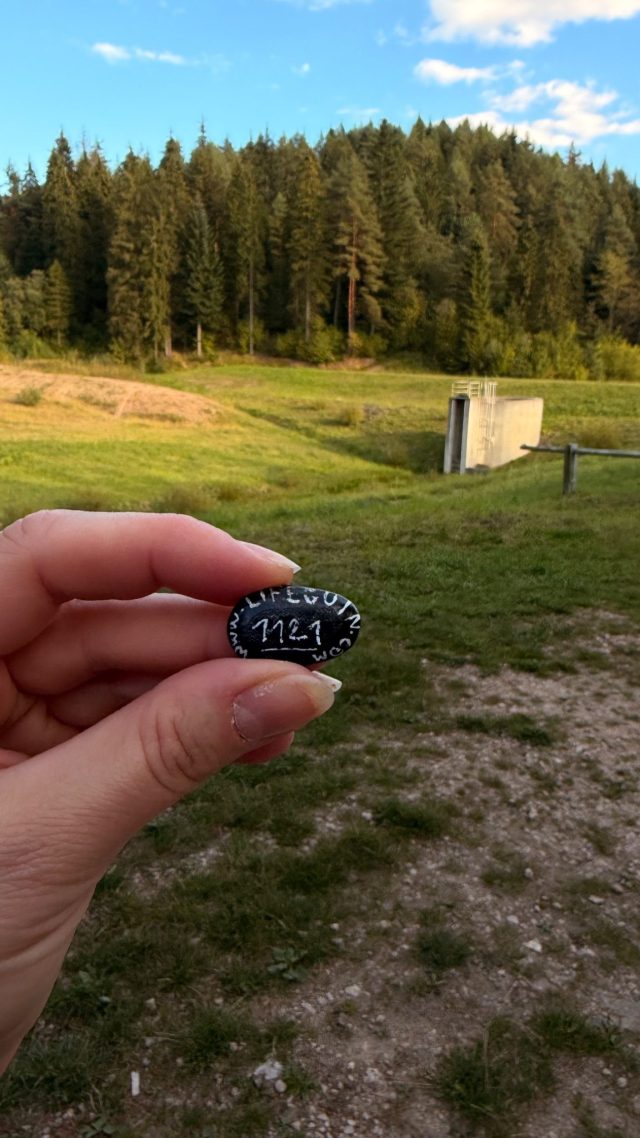 Ručne maľovaný tučniakový kameň č. 1121 ukrytý na mieste Bench, Chmeľnica, Slovensko (fotka 3 z 5)