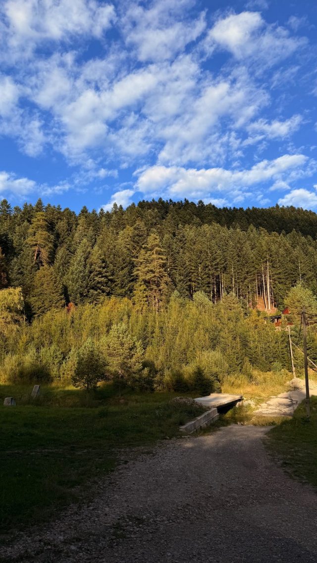 Ručne maľovaný tučniakový kameň č. 1121 ukrytý na mieste Bench, Chmeľnica, Slovensko (fotka 5 z 5)