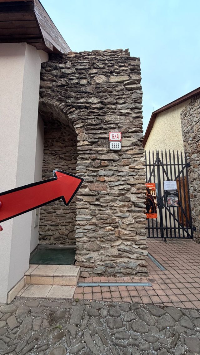 Hand-painted penguin stone #1124 hidden at Stone Wall, Kosice, Slovakia (photo 2 of 5)