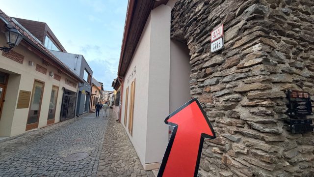 Hand-painted penguin stone #1124 hidden at Stone Wall, Kosice, Slovakia (photo 3 of 5)