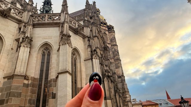 Hand-painted penguin stone #1124 hidden at Stone Wall, Kosice, Slovakia