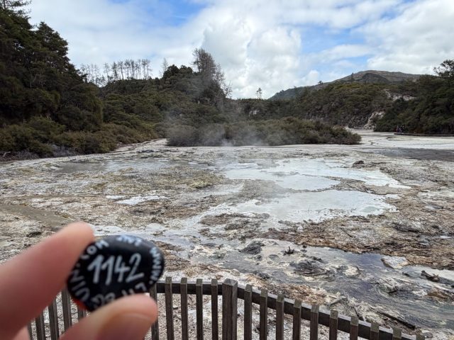 Hand-painted penguin stone #1142 hidden at Waiotapu Thermal Wonderland, Waiopatu, New Zealand (photo 2 of 5)