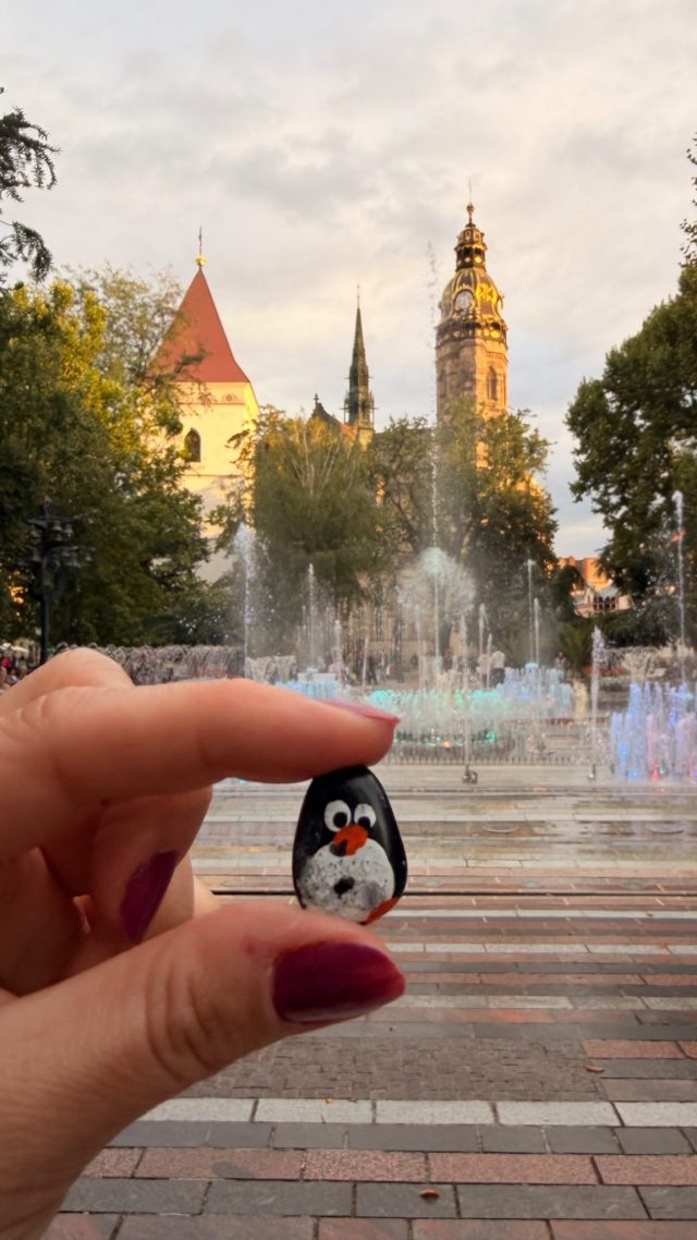 Hand-painted penguin stone #1159 hidden at Singing Fountain, Kosice, Slovakia (photo 2 of 5)