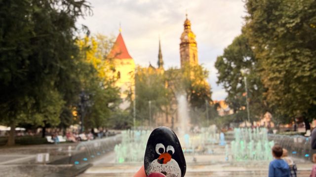 Hand-painted penguin stone #1159 hidden at Singing Fountain, Kosice, Slovakia