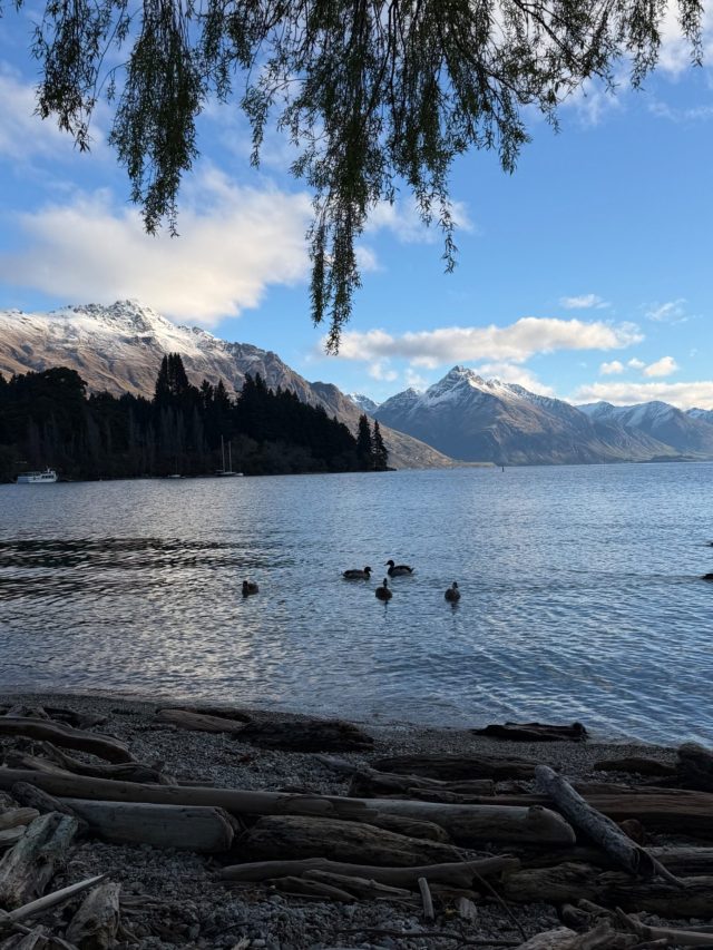 Hand-painted penguin stone #1167 hidden at Queenstown Bay Beach, Queenstown, New Zealand (photo 5 of 5)