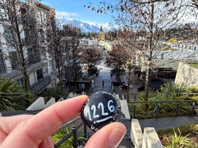 Hand-painted penguin stone #1226 hidden at Brecon st. Queenstown, Queenstown, New Zealand (photo 2 of 4)