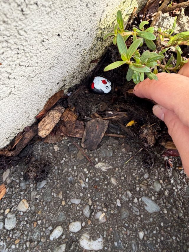 Hand-painted penguin stone #1226 hidden at Brecon st. Queenstown, Queenstown, New Zealand (photo 3 of 4)