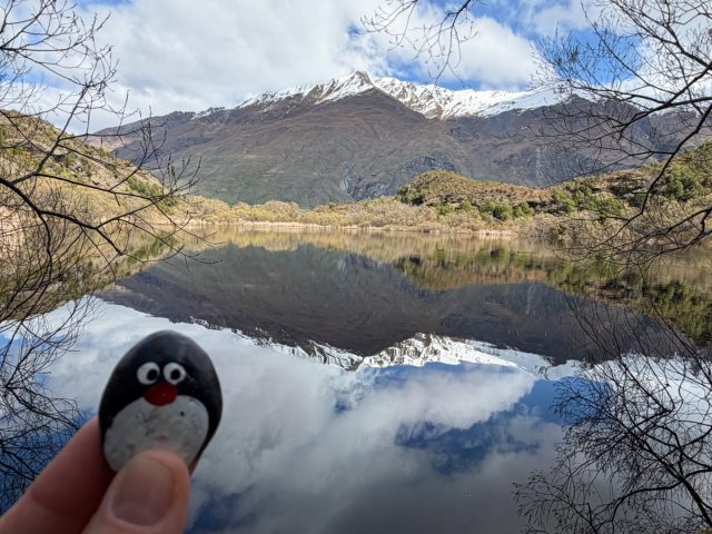 Hand-painted penguin stone #1278 hidden at Diamond Lake, Close to Wanaka, New Zealand (photo 2 of 5)