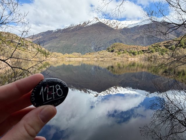Hand-painted penguin stone #1278 hidden at Diamond Lake, Close to Wanaka, New Zealand (photo 3 of 5)