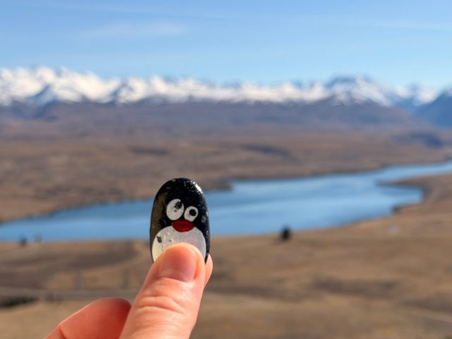 Hand-painted penguin stone #1284 hidden at University of Canterbury Mt John Observatory, Lake Takepo, New Zealand