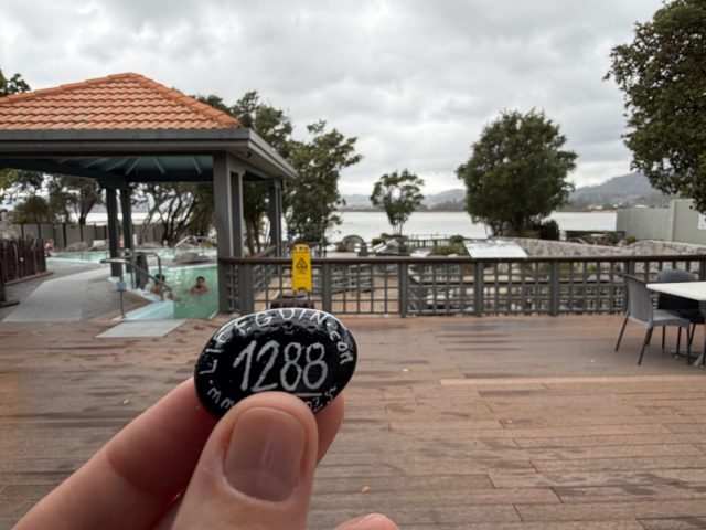 Hand-painted penguin stone #1288 hidden at Polynesian Spa, Rotorua, New Zealand (photo 2 of 5)