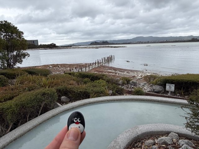 Hand-painted penguin stone #1288 hidden at Polynesian Spa, Rotorua, New Zealand (photo 3 of 5)