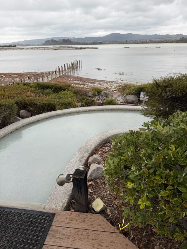Hand-painted penguin stone #1288 hidden at Polynesian Spa, Rotorua, New Zealand (photo 5 of 5)