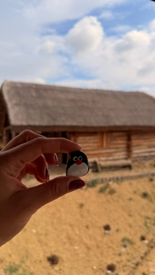 Hand-painted penguin stone #1326 hidden at Archeopark, Velky Saris, Slovakia (photo 2 of 5)