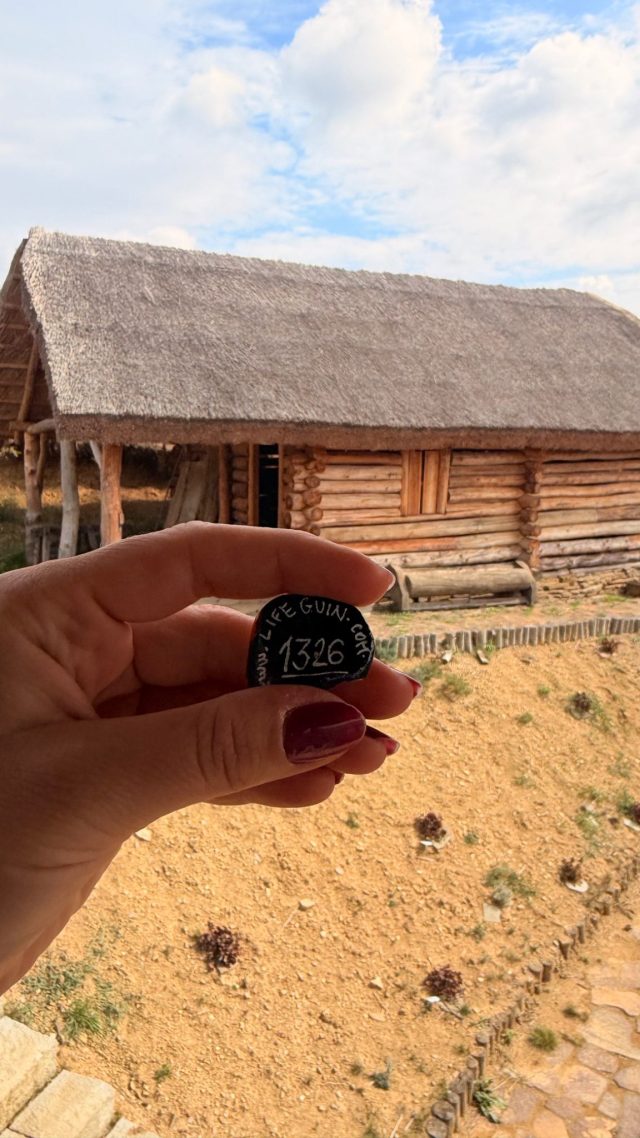 Hand-painted penguin stone #1326 hidden at Archeopark, Velky Saris, Slovakia (photo 3 of 5)