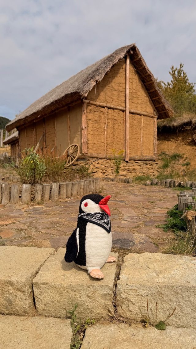 Hand-painted penguin stone #1326 hidden at Archeopark, Velky Saris, Slovakia (photo 5 of 5)