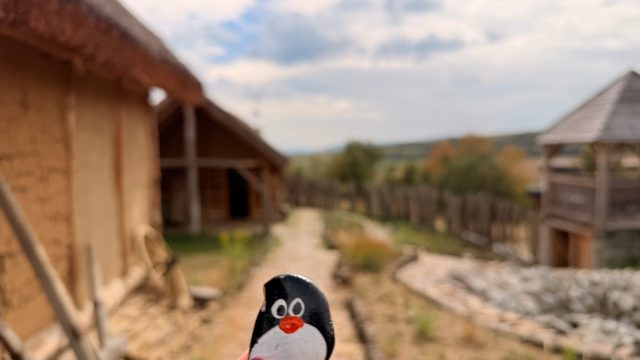 Hand-painted penguin stone #1326 hidden at Archeopark, Velky Saris, Slovakia