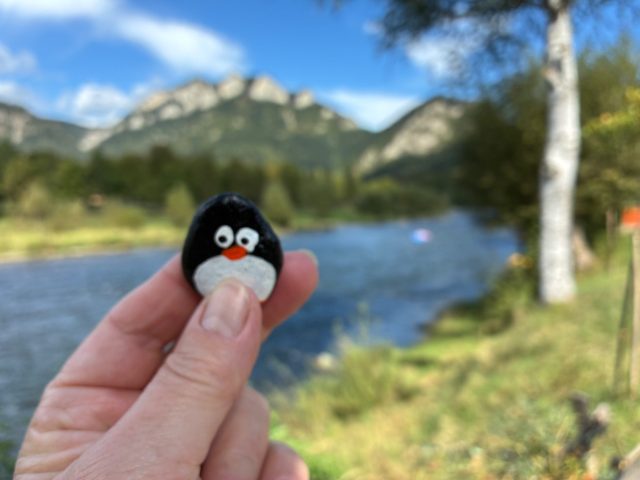 Hand-painted penguin stone #1332 hidden at Border Bridge Wooden Sculptures, Cerveny Klastor, Slovakia (photo 2 of 5)