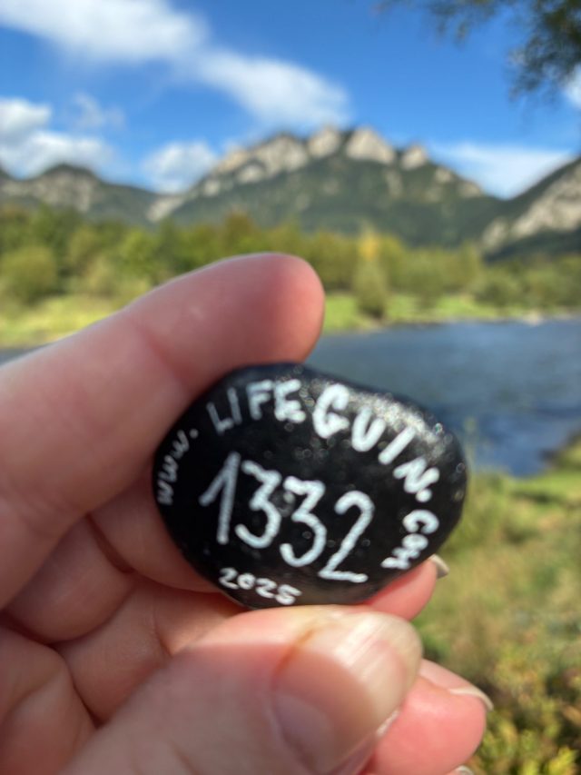 Hand-painted penguin stone #1332 hidden at Border Bridge Wooden Sculptures, Cerveny Klastor, Slovakia (photo 3 of 5)