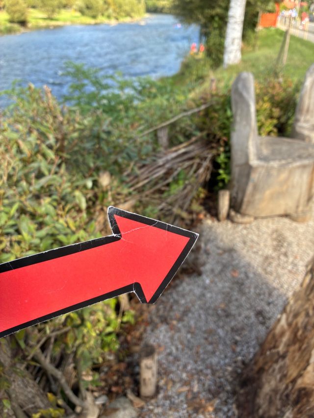 Hand-painted penguin stone #1332 hidden at Border Bridge Wooden Sculptures, Cerveny Klastor, Slovakia (photo 4 of 5)