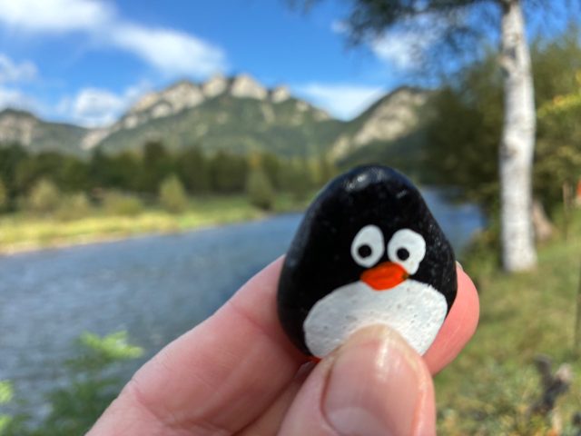 Hand-painted penguin stone #1332 hidden at Border Bridge Wooden Sculptures, Cerveny Klastor, Slovakia