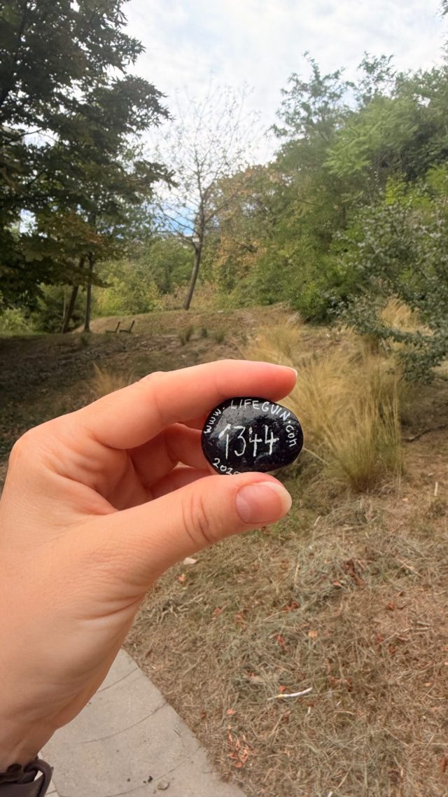Hand-painted penguin stone #1344 hidden at Zuckermandel, Bratislava, Slovakia (photo 3 of 5)