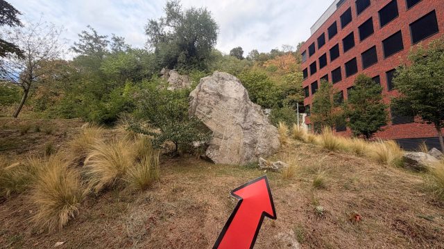 Hand-painted penguin stone #1344 hidden at Zuckermandel, Bratislava, Slovakia (photo 4 of 5)