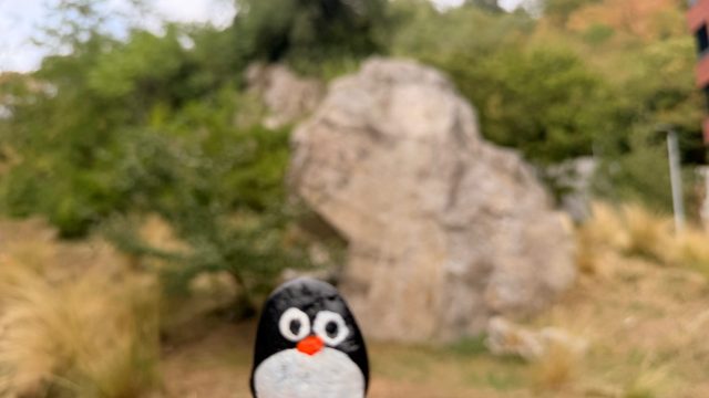 Hand-painted penguin stone #1344 hidden at Zuckermandel, Bratislava, Slovakia