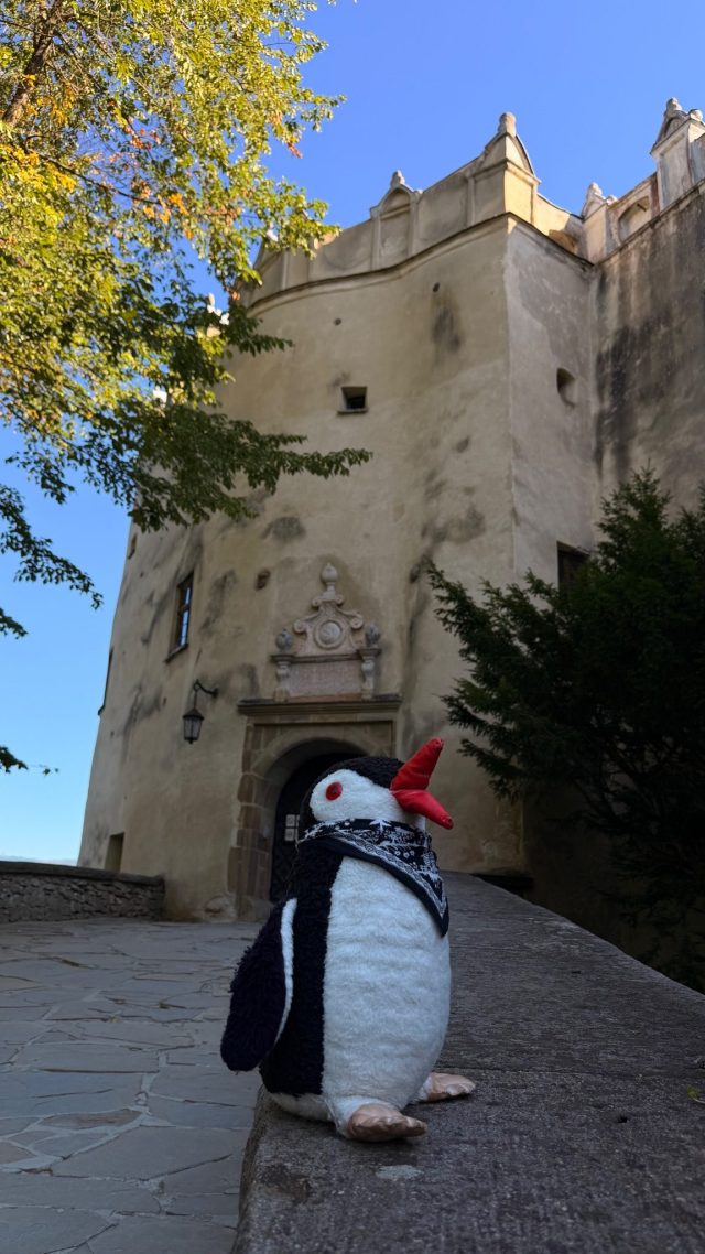 Hand-painted penguin stone #1353 hidden at Entrance Wall at Zamek Dunajec, Niedzica, Poland (photo 5 of 5)