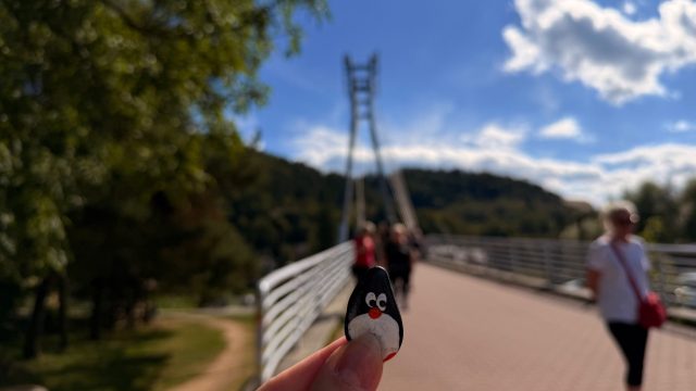 Hand-painted penguin stone #1361 hidden at Border Bridge, Sromowce Nizne, Poland (photo 4 of 5)