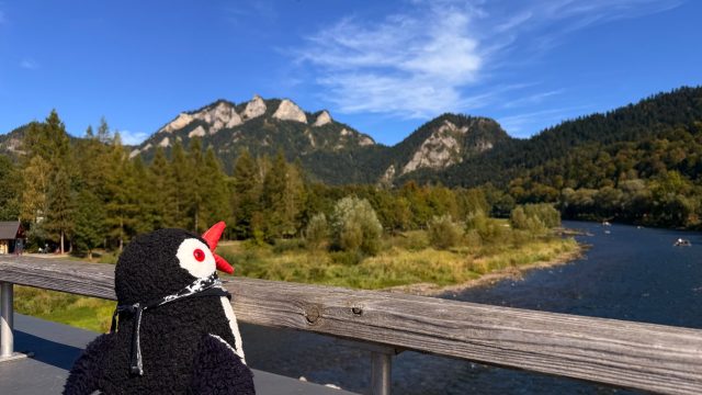 Hand-painted penguin stone #1361 hidden at Border Bridge, Sromowce Nizne, Poland (photo 5 of 5)