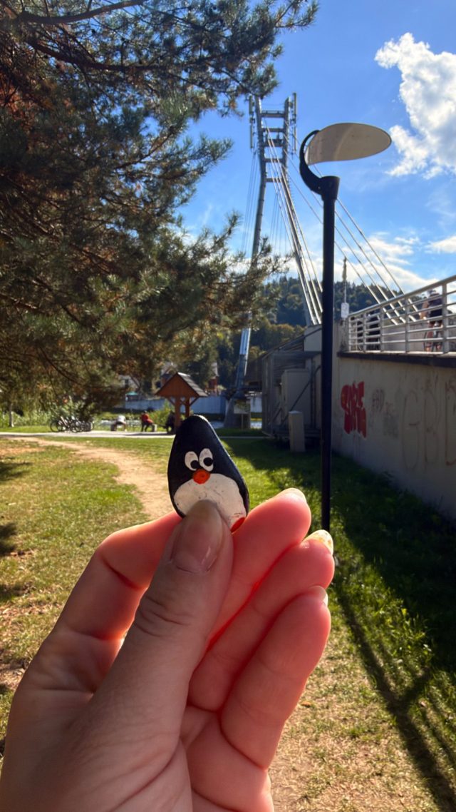 Hand-painted penguin stone #1361 hidden at Border Bridge, Sromowce Nizne, Poland
