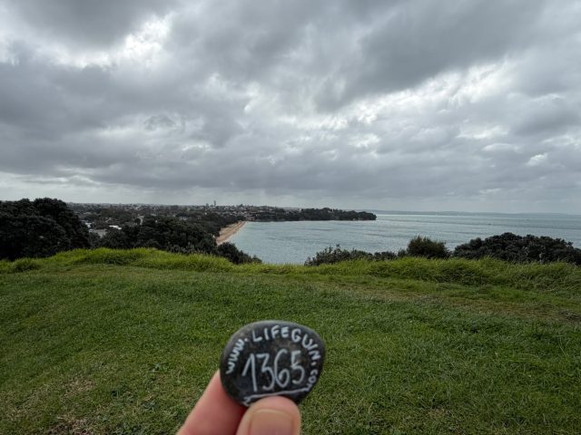 Hand-painted penguin stone #1365 hidden at Summit Battery Tunnel, Devonport-Takapuna, New Zealand (photo 2 of 4)