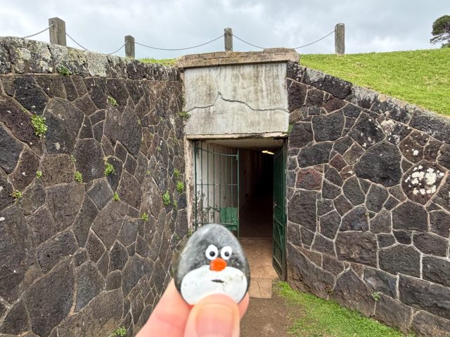 Hand-painted penguin stone #1365 hidden at Summit Battery Tunnel, Devonport-Takapuna, New Zealand (photo 3 of 4)