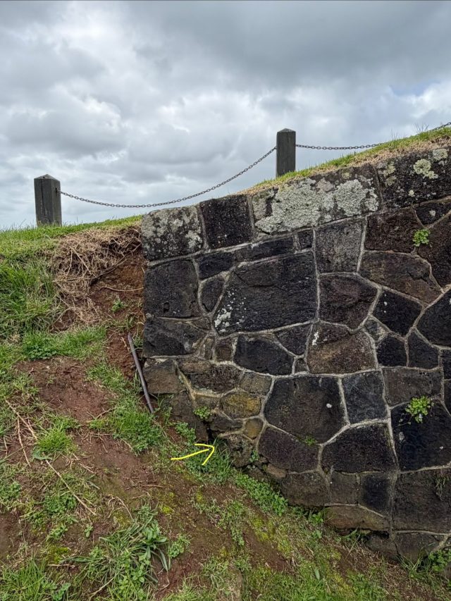 Hand-painted penguin stone #1365 hidden at Summit Battery Tunnel, Devonport-Takapuna, New Zealand (photo 4 of 4)